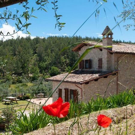 Agriturismo Molino Verde Montecchio  Eksteriør bilde