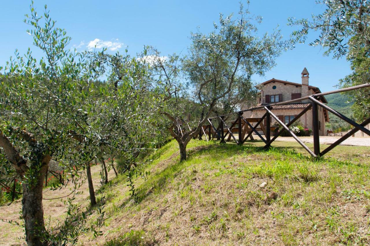 Agriturismo Molino Verde Montecchio  Eksteriør bilde