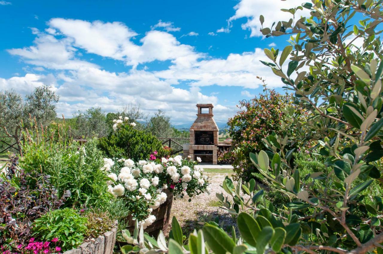 Agriturismo Molino Verde Montecchio  Eksteriør bilde