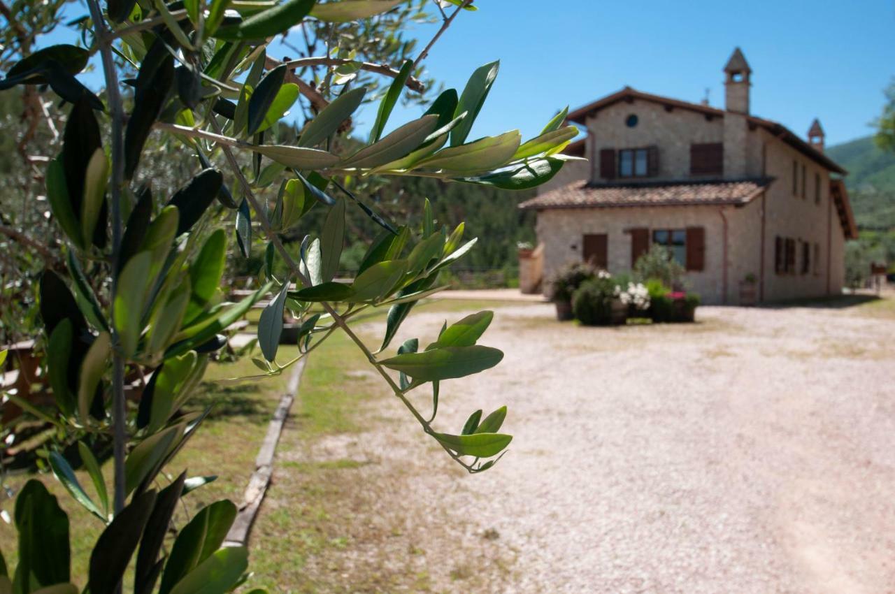 Agriturismo Molino Verde Montecchio  Eksteriør bilde