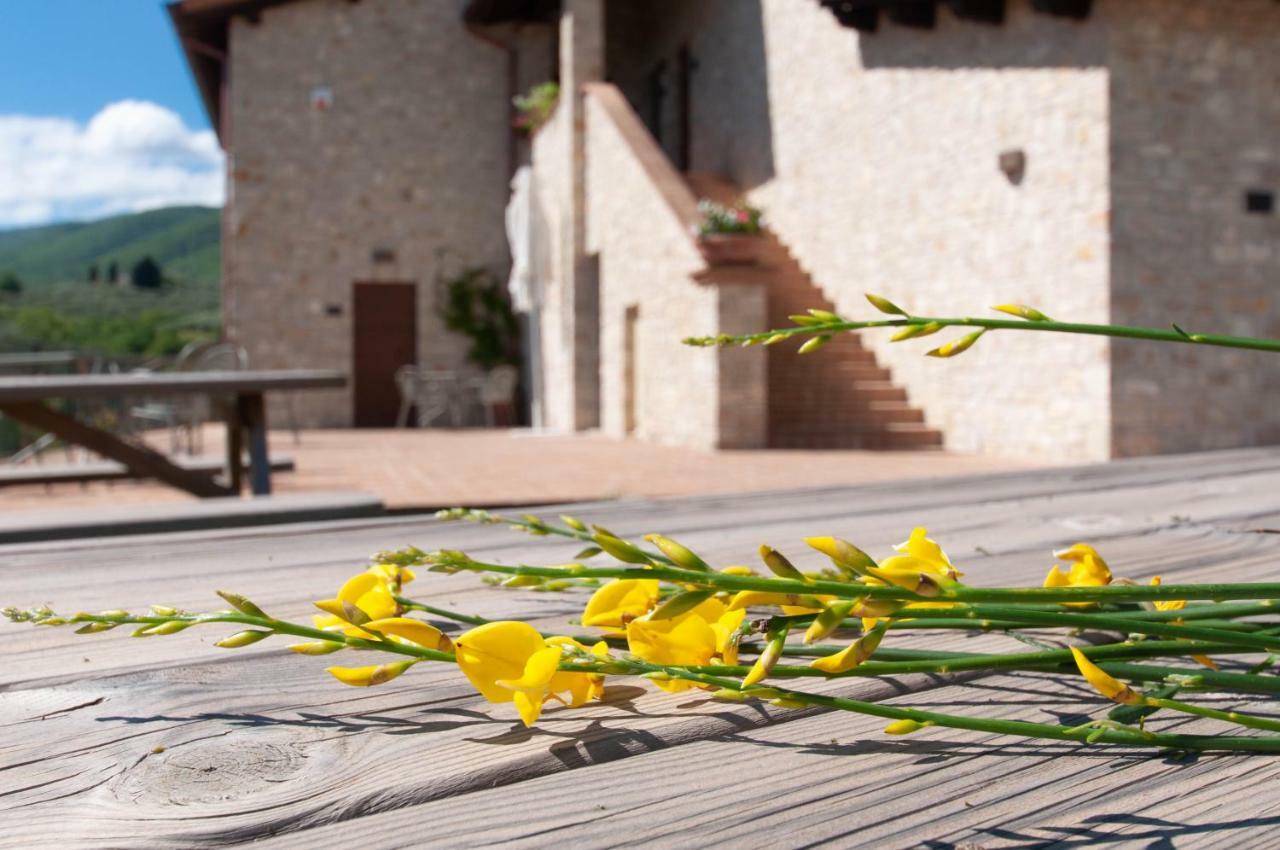 Agriturismo Molino Verde Montecchio  Eksteriør bilde