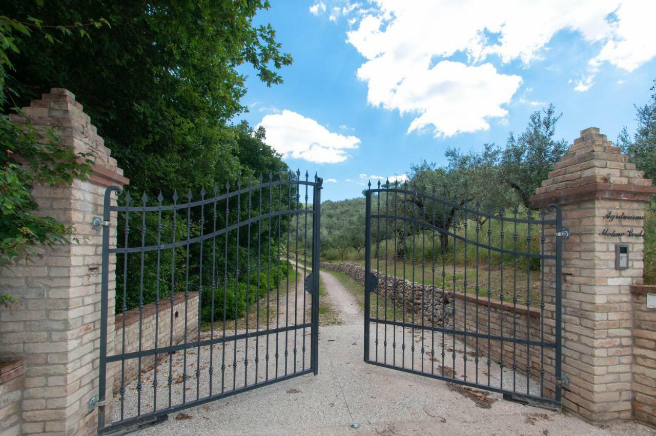 Agriturismo Molino Verde Montecchio  Eksteriør bilde