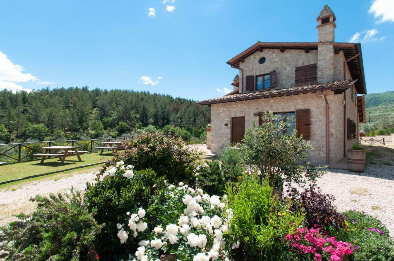 Agriturismo Molino Verde Montecchio  Eksteriør bilde